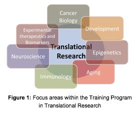 Focus Areas Within the Training Program in Translational Research.png